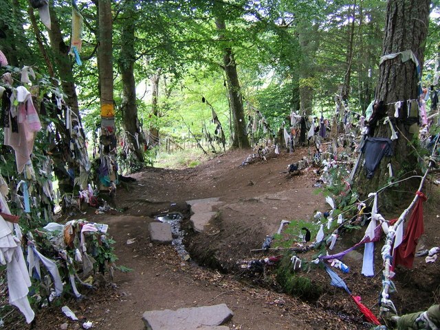 Munlochy Clootie Well con árboles cubiertos de telas en Escocia