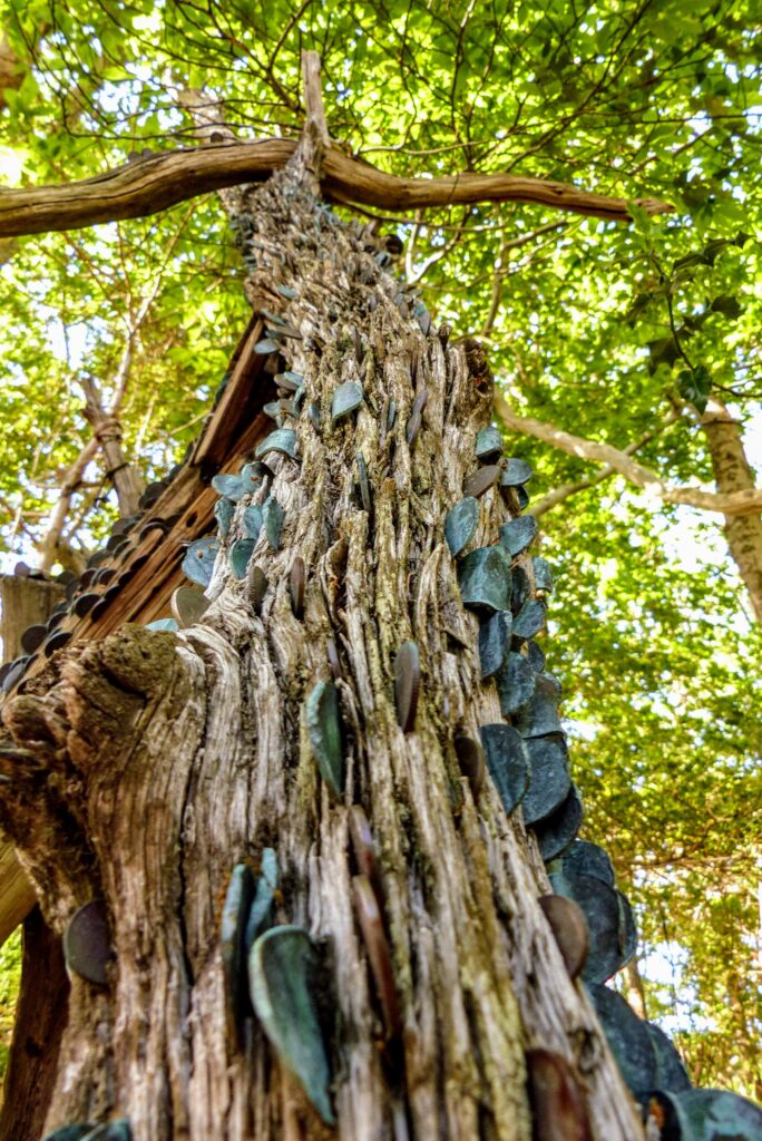 The Wish Tree, Isle Maree