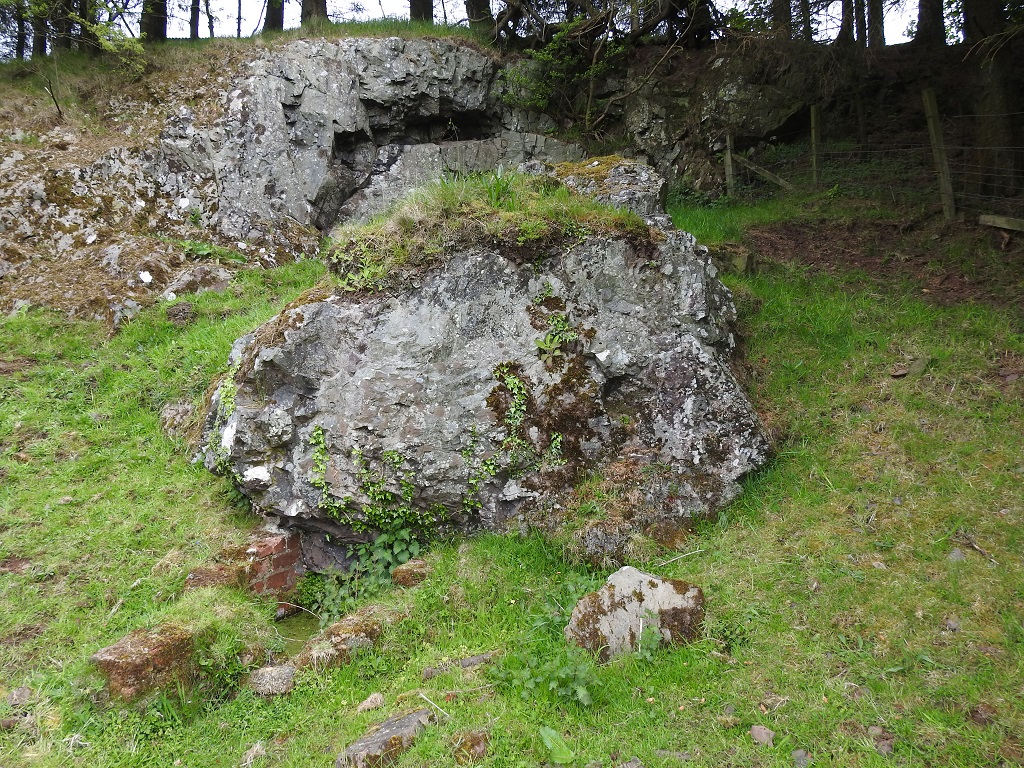 Kilallan Clootie Well